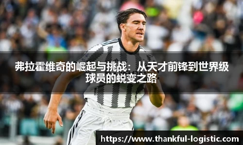 弗拉霍维奇的崛起与挑战：从天才前锋到世界级球员的蜕变之路
